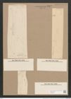 Pleurosigma hippocampus (Ehr.) W.Sm. (de-Toni-Nr.: Genus 13, Species 1056) Zeichnungen Sammlung Grunow Nr. 1903 (NHMW-BOT-W0369022)